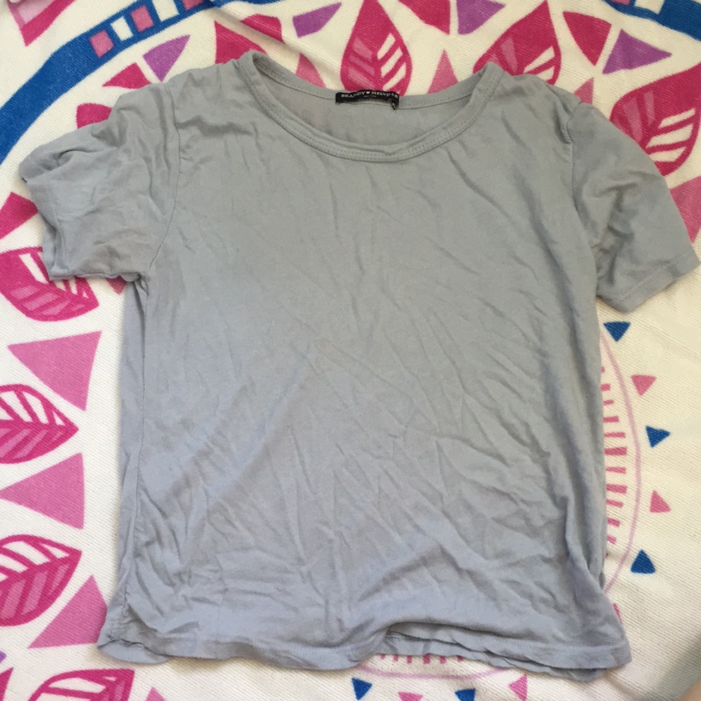 Brandy Melville Crop Top